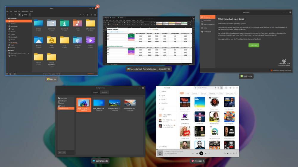 Linux Mint 22.1 Ultimate Upgrade for Microsoft Windows 10 (VM Included) #10
