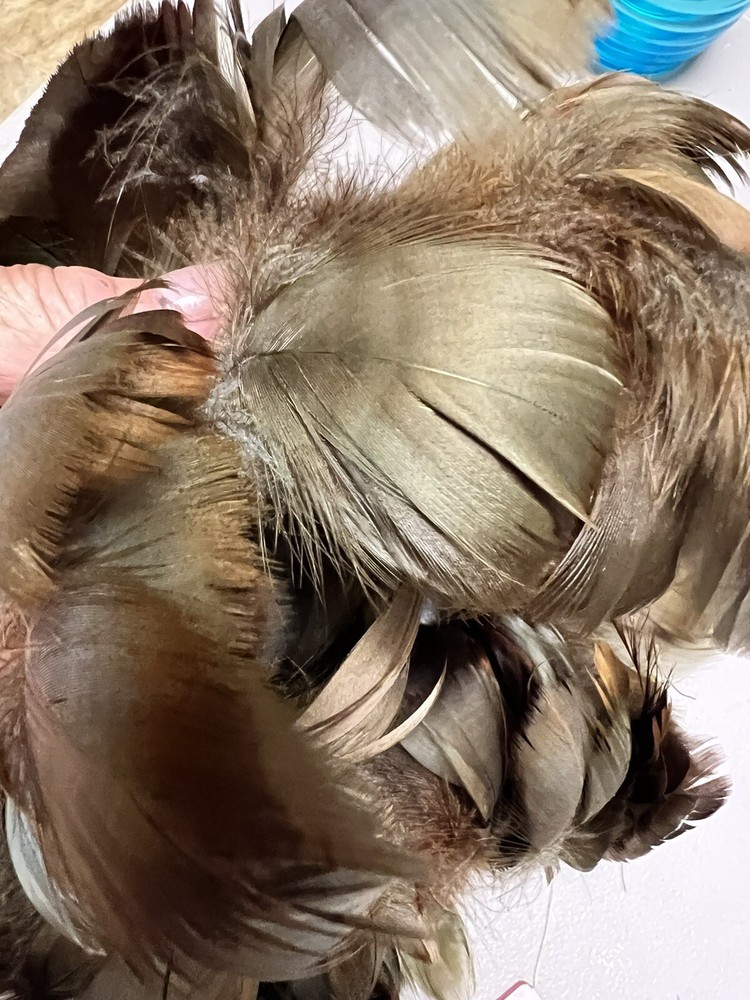 feathers for cowboy hats