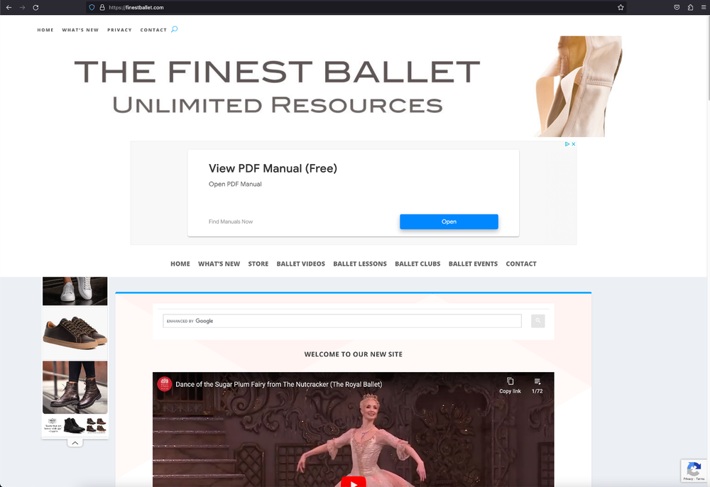 FinestBallet.com for sale