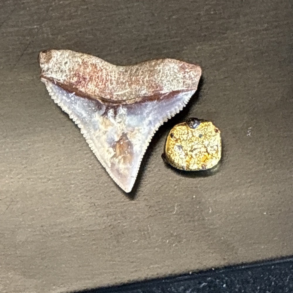 Gold nugget with small iron deposits