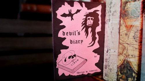 Devil's Diary by Charles W. Cameron - Book