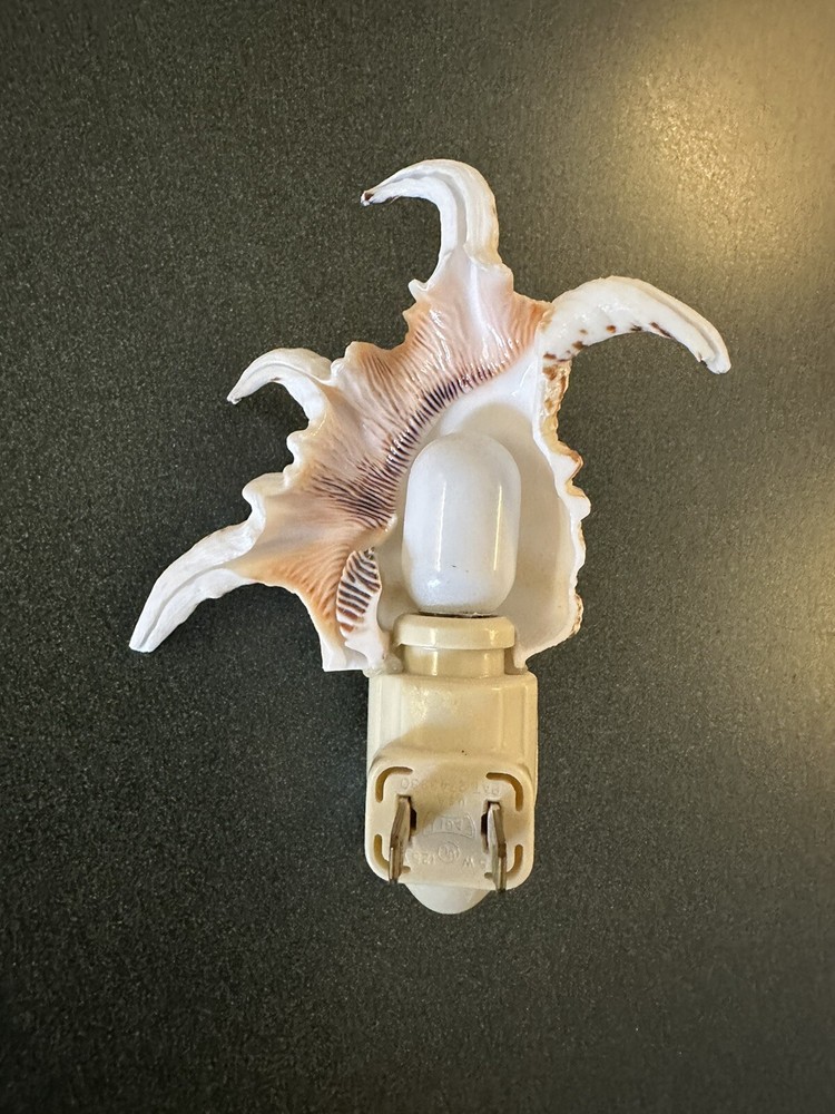 Vtg Seashell Night Light Plug in Beautiful Natural Shell Approx 5”