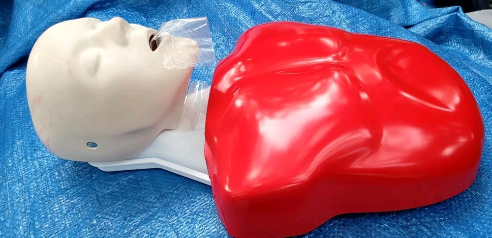 Lifeform Nasco Basic Buddy CPR Training Adult LF03694