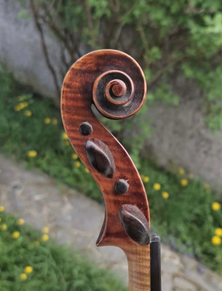 Violin 4/4 C. G. Schetelig
