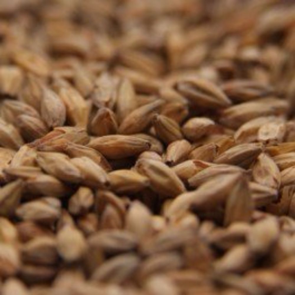 Gambrinus Honey Malt 10 lb for Home Brew Beer Making