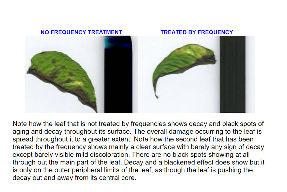 Frequencies compatible with Multi-Frequency Oscillator MWO Multi-Wave Oscillator