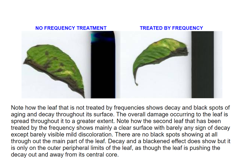 Frequencies support Hulda Clark Zapper “Frequency Generator” Virus Killer
