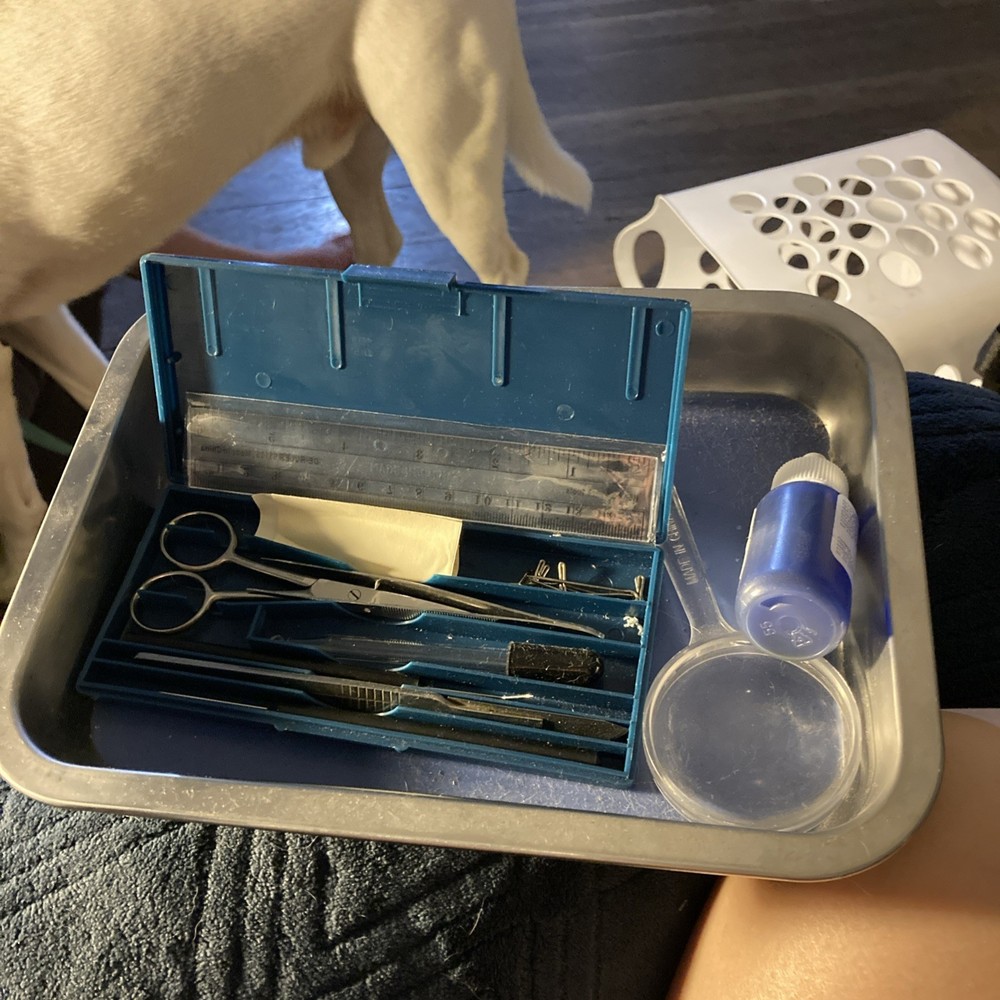 Biology Dissection tools - mat with all dissection tools