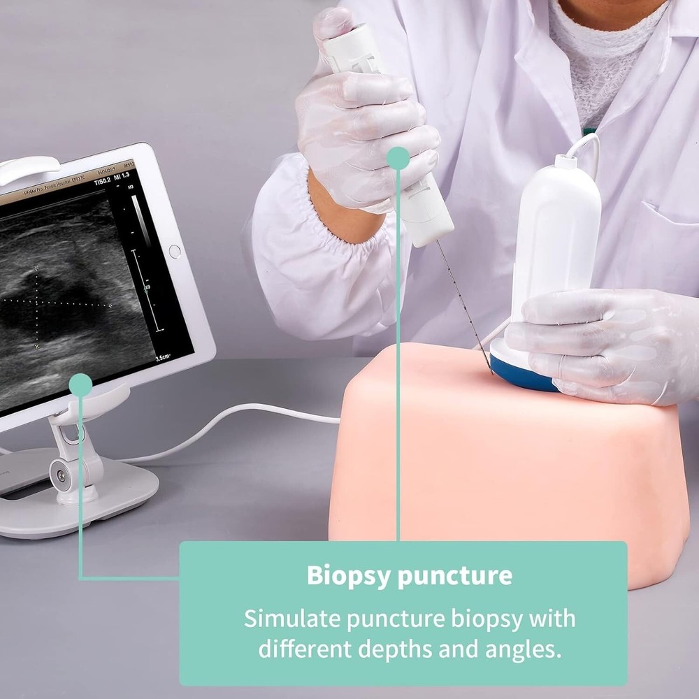 Ultrasound Puncture Abdominal Model Practice Kits Biopsy Puncture Train Teaching