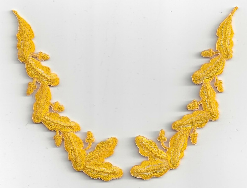 Scrambled eggs affixed to ball cap
