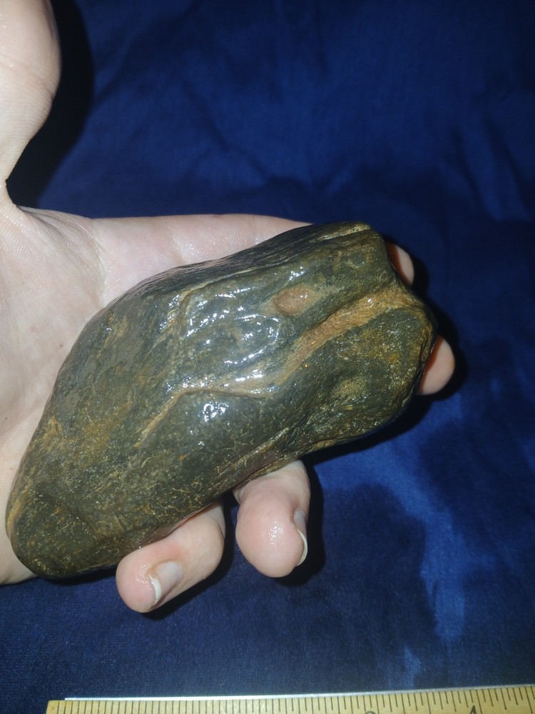 12.2 oz Petrified Wood