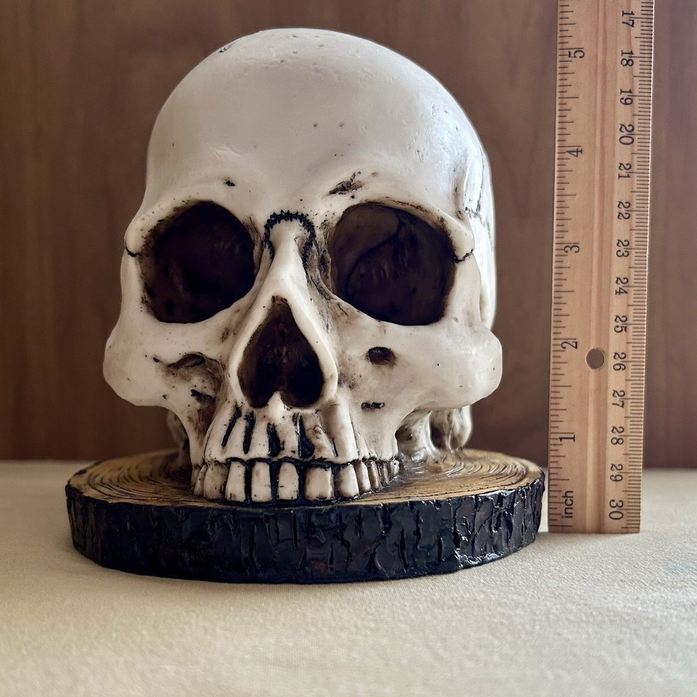 Skull Knife Holder Resin Halloween Display
