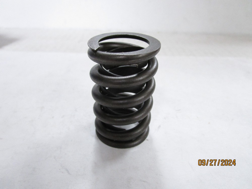 Engine Valve Spring-Valve/Rocker Spring Elgin RV-943X