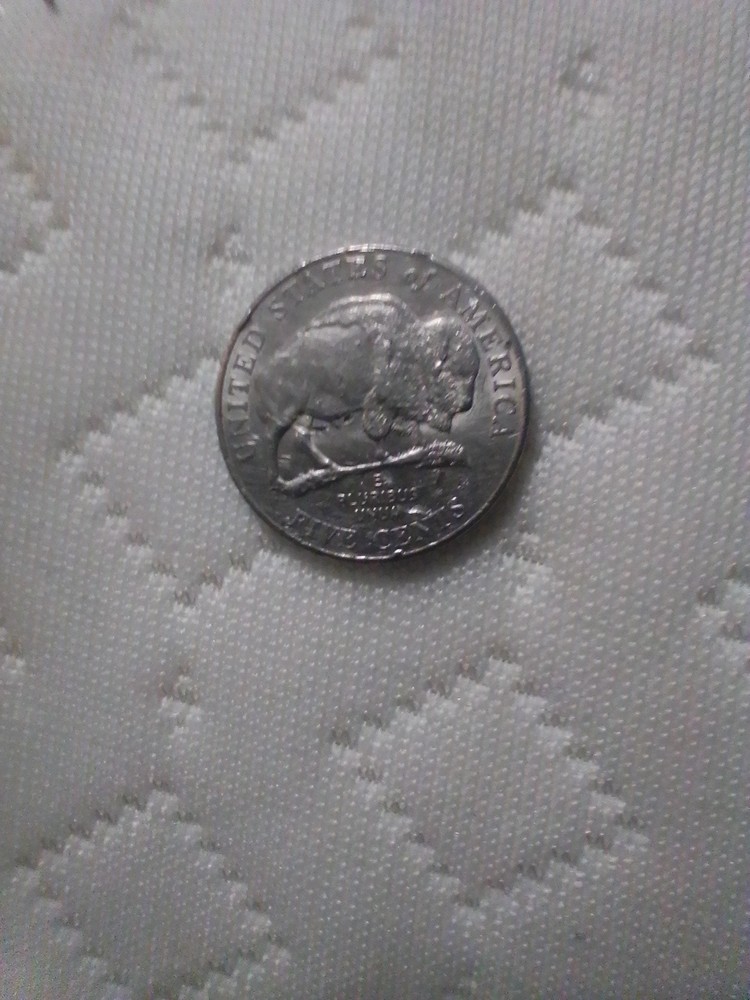 Antique Speared Bison Nickel ( Very Rare)