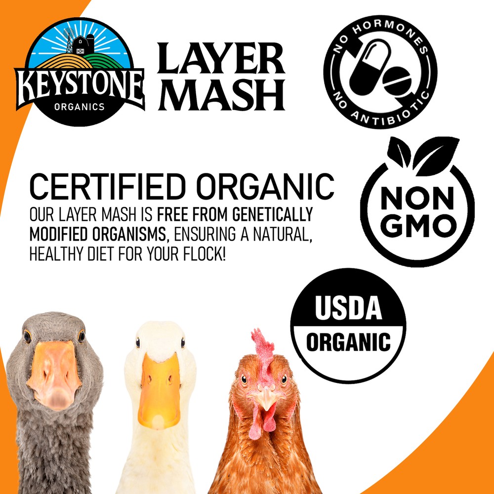 Keystone Organics USDA Layer Mash Chicken Feed, 44lbs