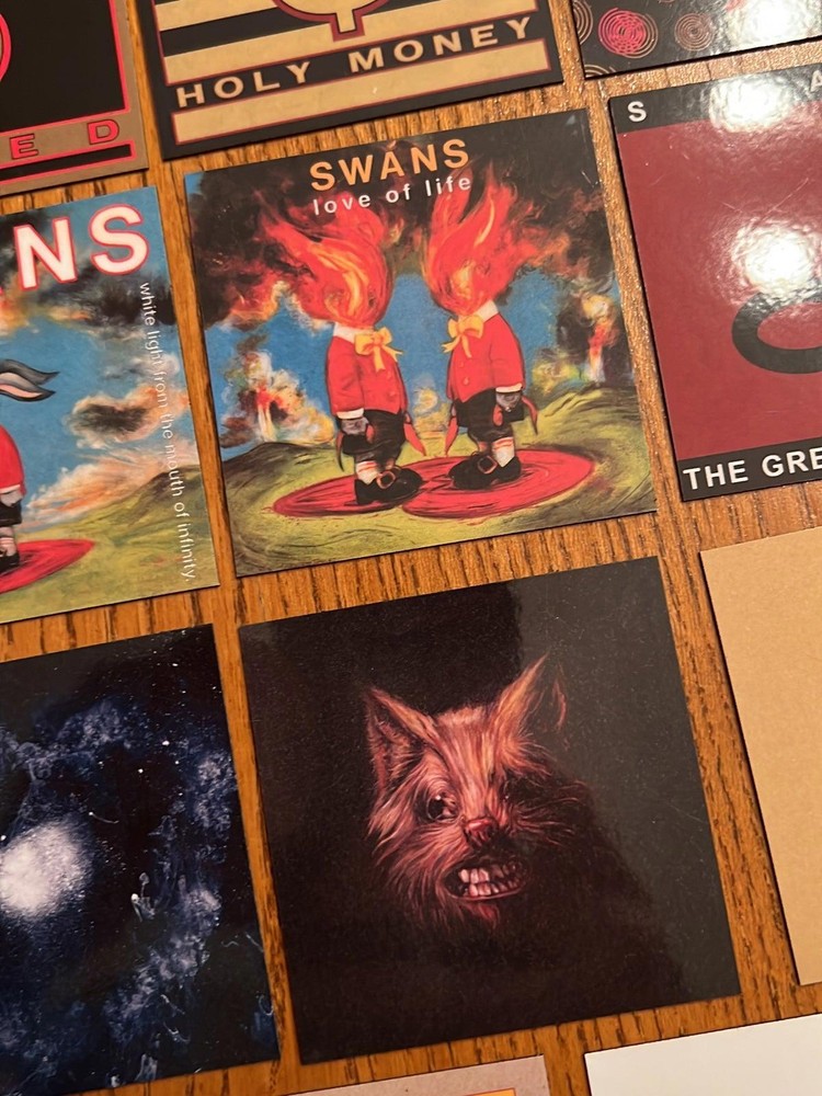 Swans fridge magnets