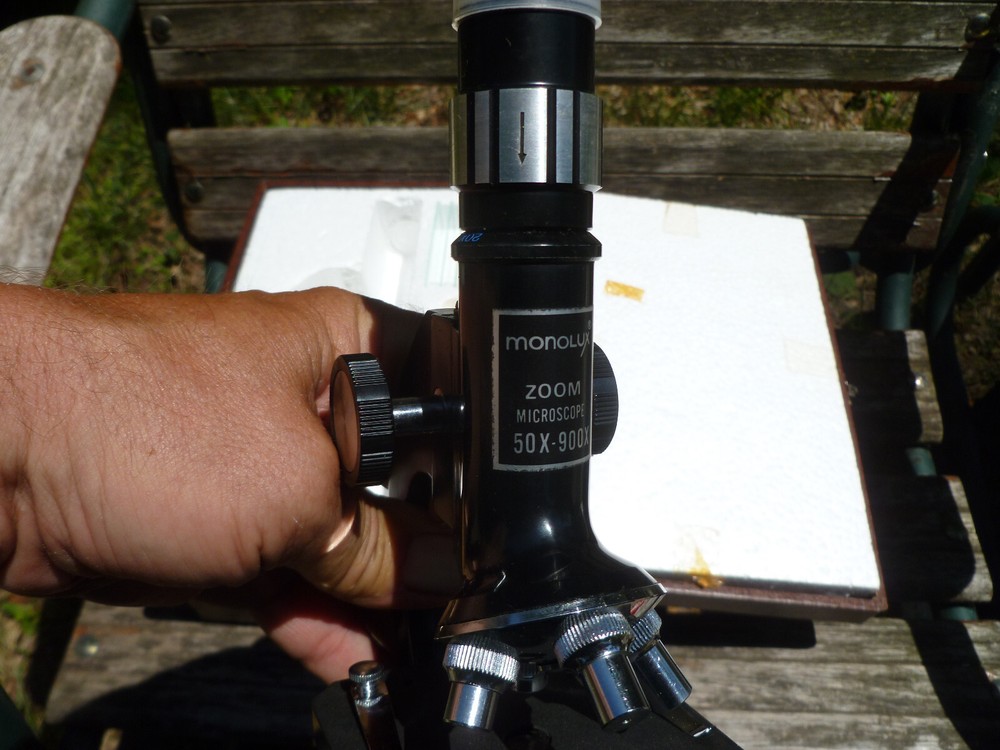 Monolux 50x-900x Microscope