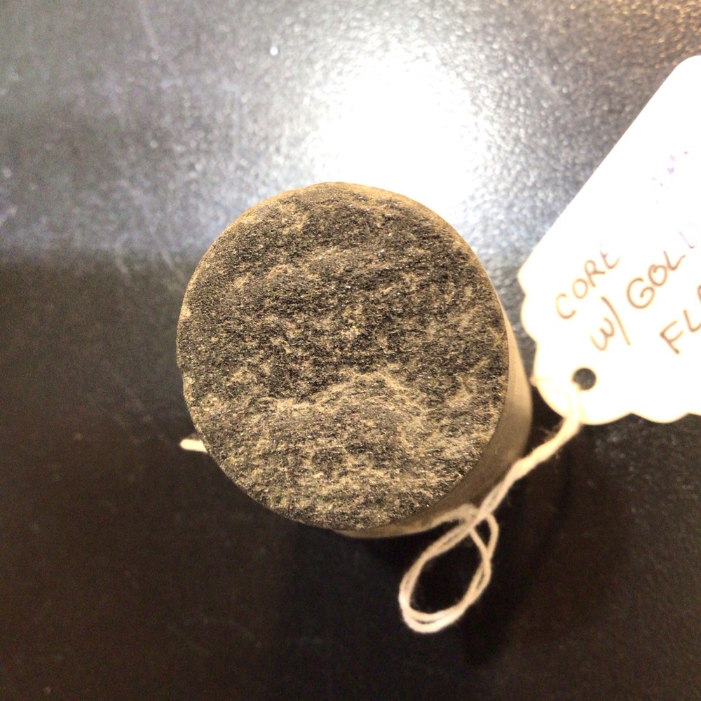 Gold Mine Core Sample with micro traces of gold