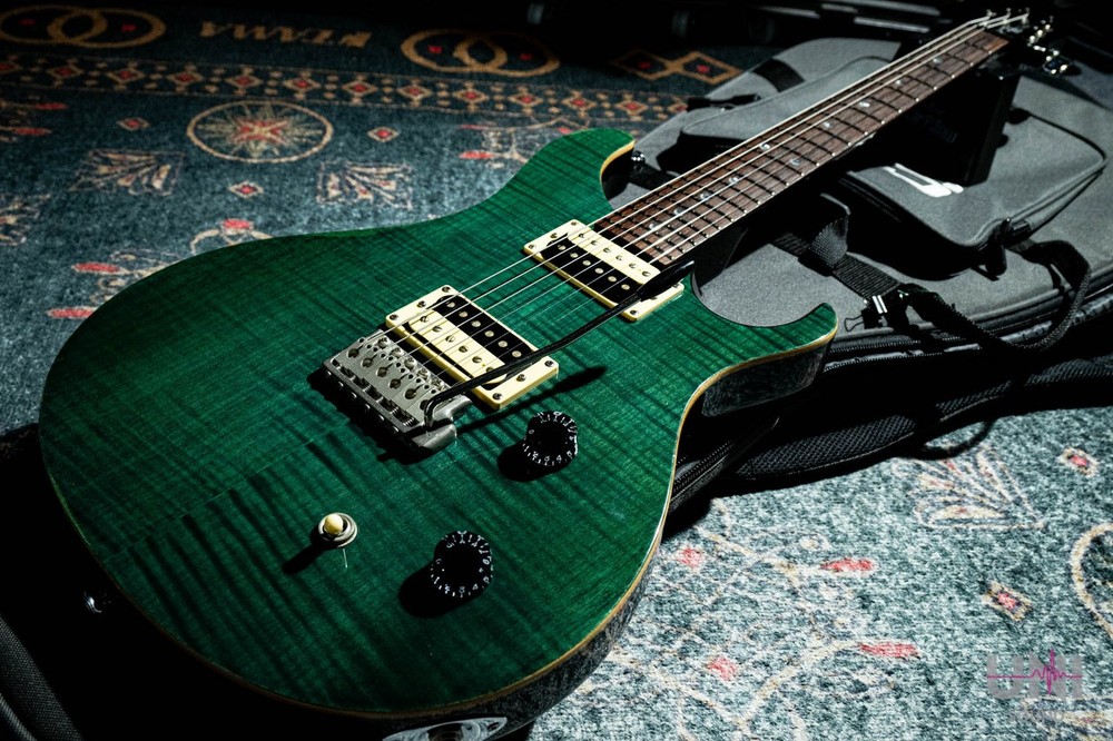 Paul Reed Smith (PRS) SE Custom / 2008 (no260422)