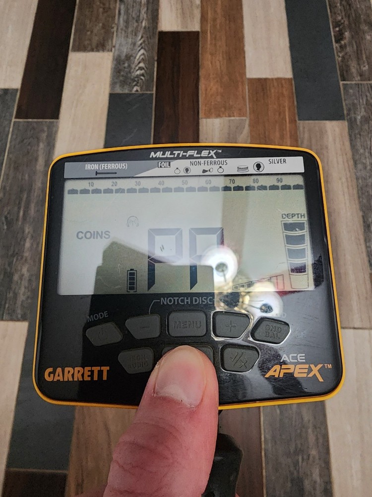 Garrett Ace Apex with Garrett PinPointer