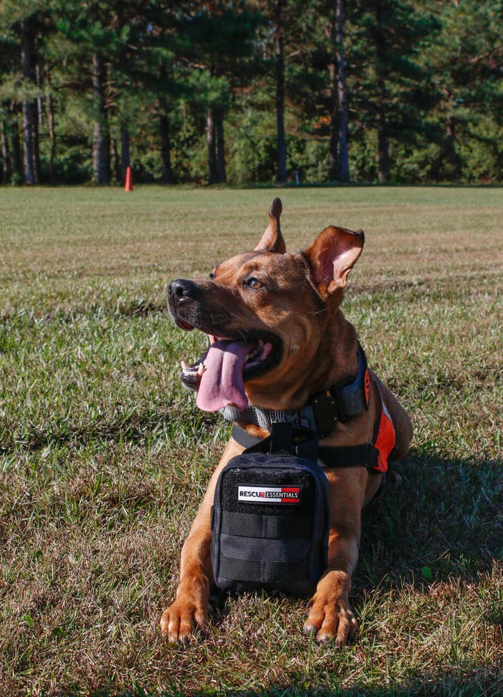 K9 IFAK