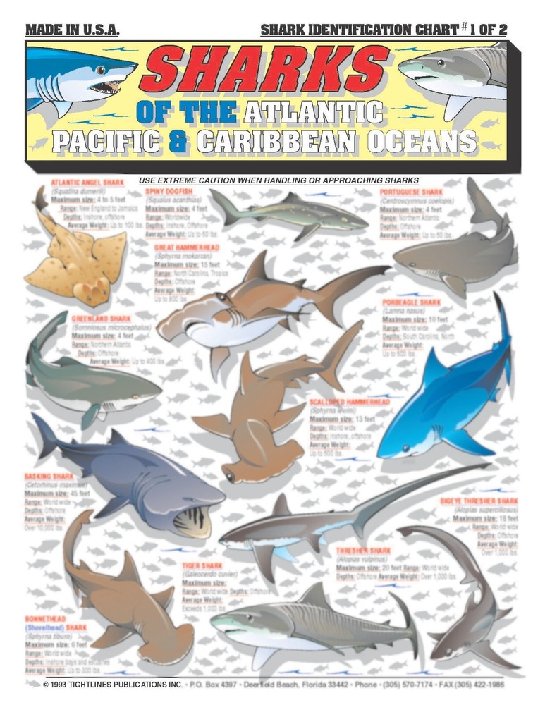 Sharks Fish Identification #1  -- Waterproof Quick Reference Guide