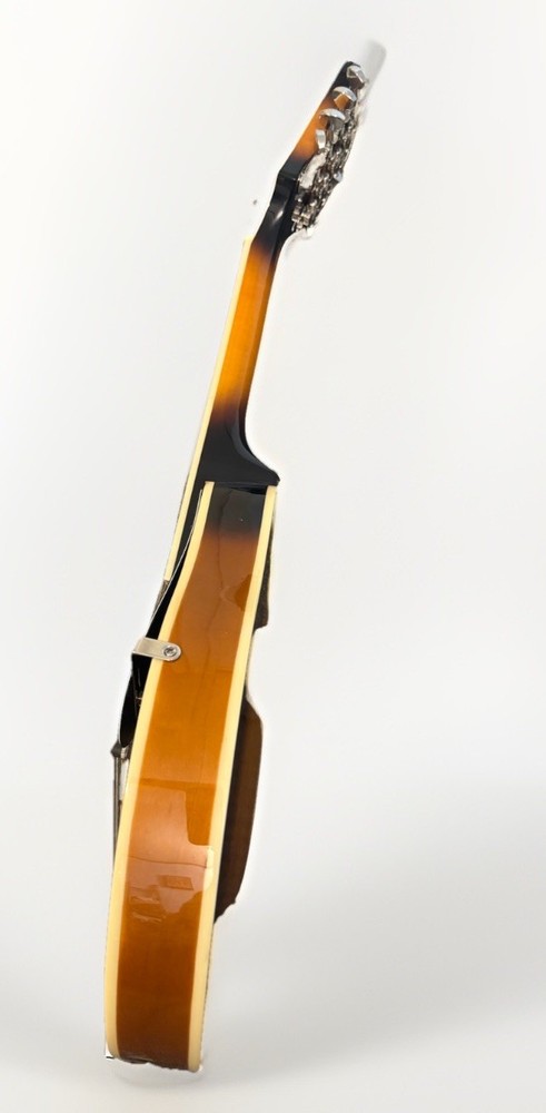 New (open Box) A Style ROGUE Mandolin - No Case