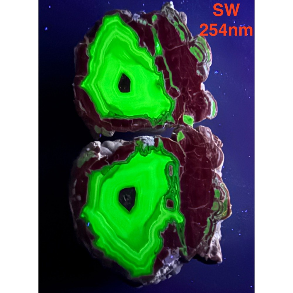 Baker Ranch Thunder Egg Agate Geode Kid Pair Polished New Mexico Fluorescent