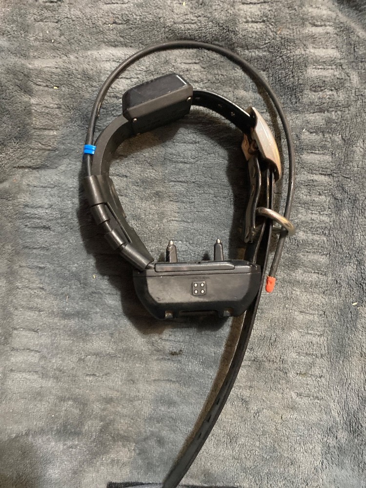 garmin tt25 tracking collar