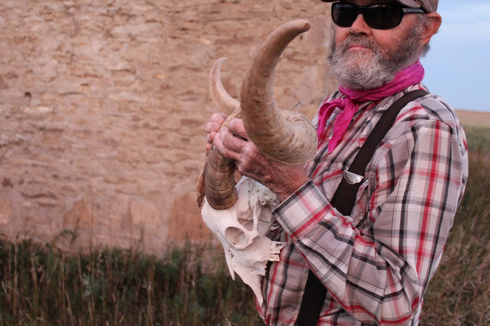 Goat Head Skull Horns