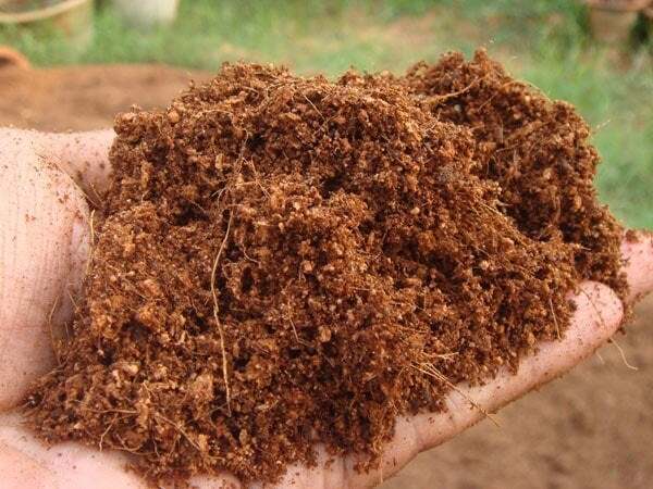 Ceylon Coco Coir Coco Peat Natural Oraganic Compost Hydroponic Growing Media