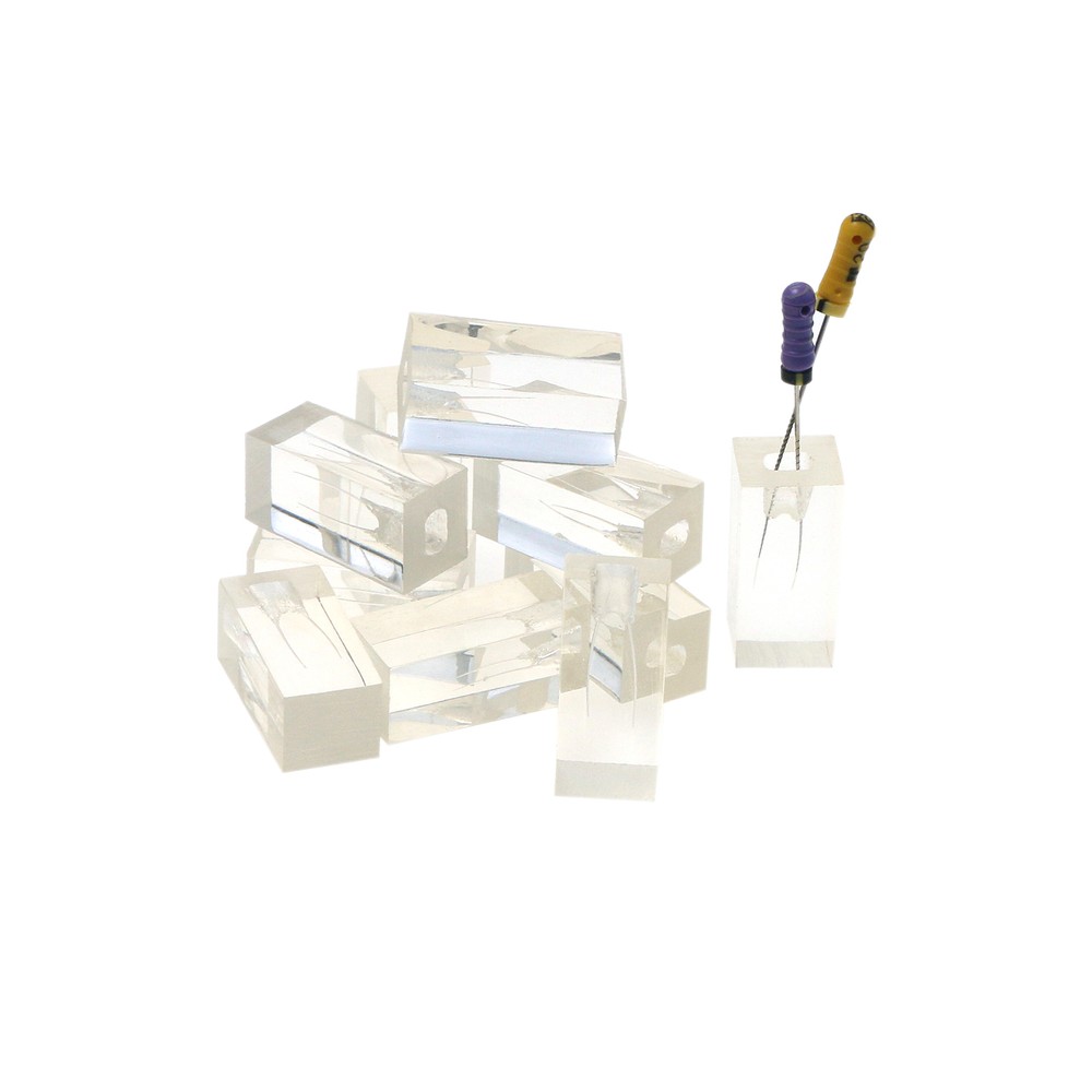 10Pcs Dental Tooth Root Canal Practice Model for Endo Training Block RCT Clear