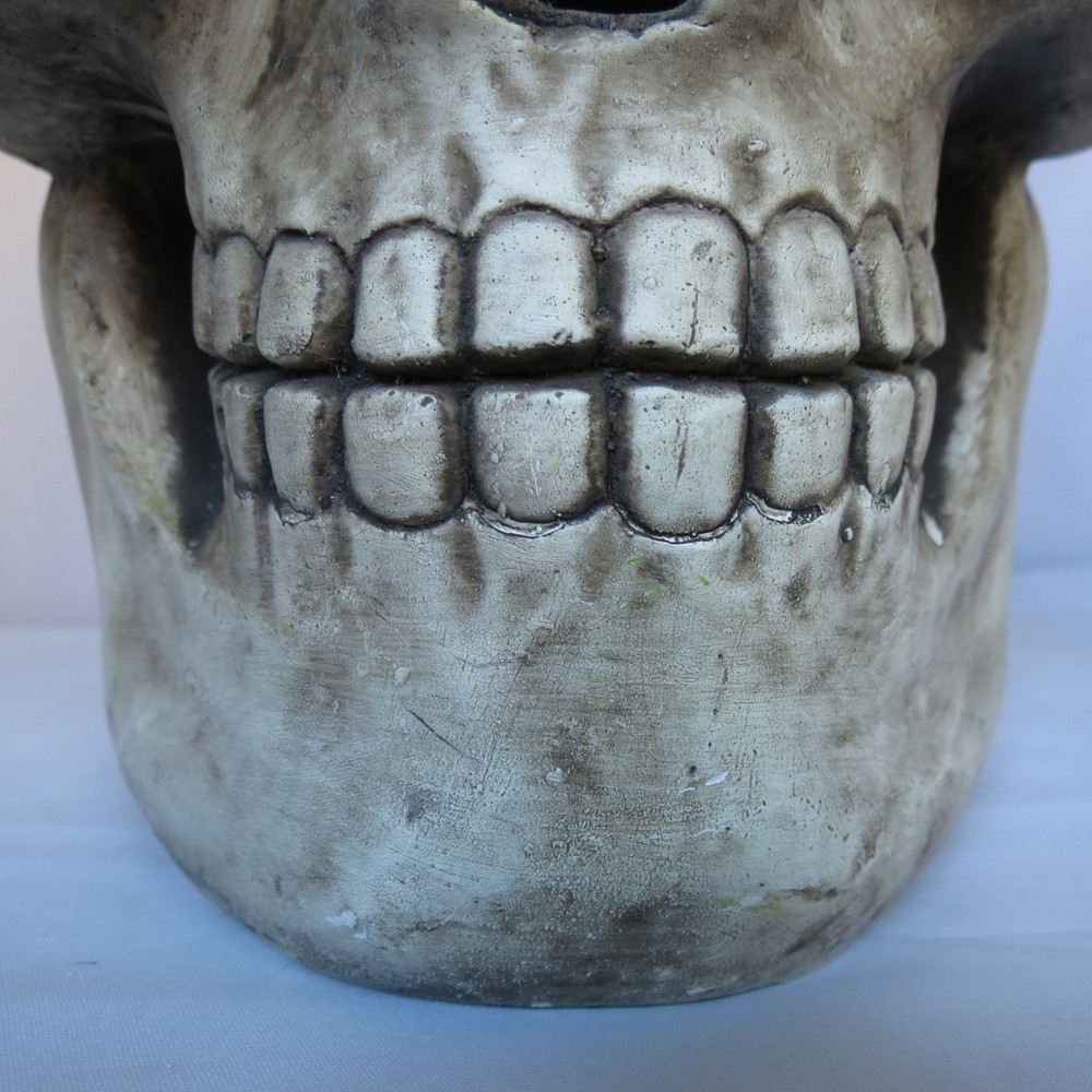 Large Heavy Cement Like Plaster Skull Skeleton Head Halloween
