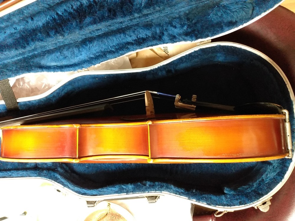 Beautiful Zeswitz Viola