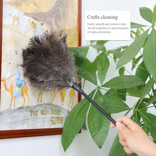 Ostrich Feather Duster 15 Inch Environmentally Handheld Feather Dusters for
