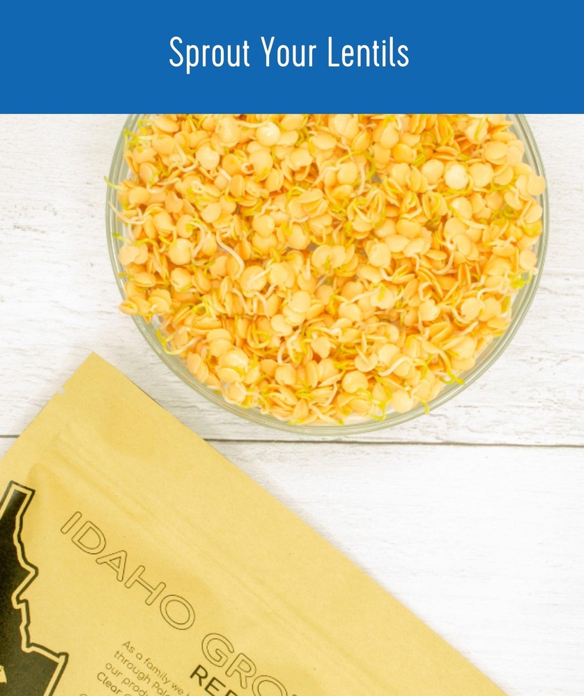 Clear Creek Bulk Red Lentils, 18 LBS