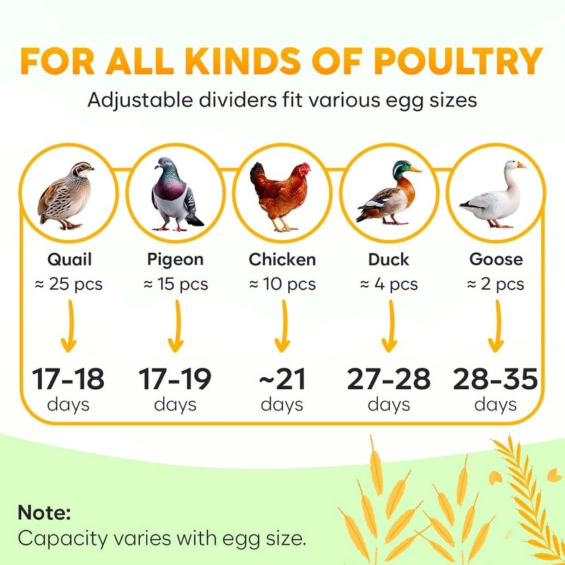 Automatic Chicken Egg Incubator Humidity Control LED Display Egg Turner 360 View