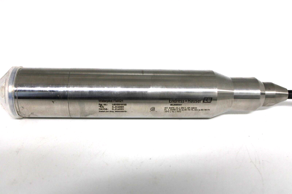 Endress + Hauser Waterpilot FMX21-ALA7/0 Level Probe