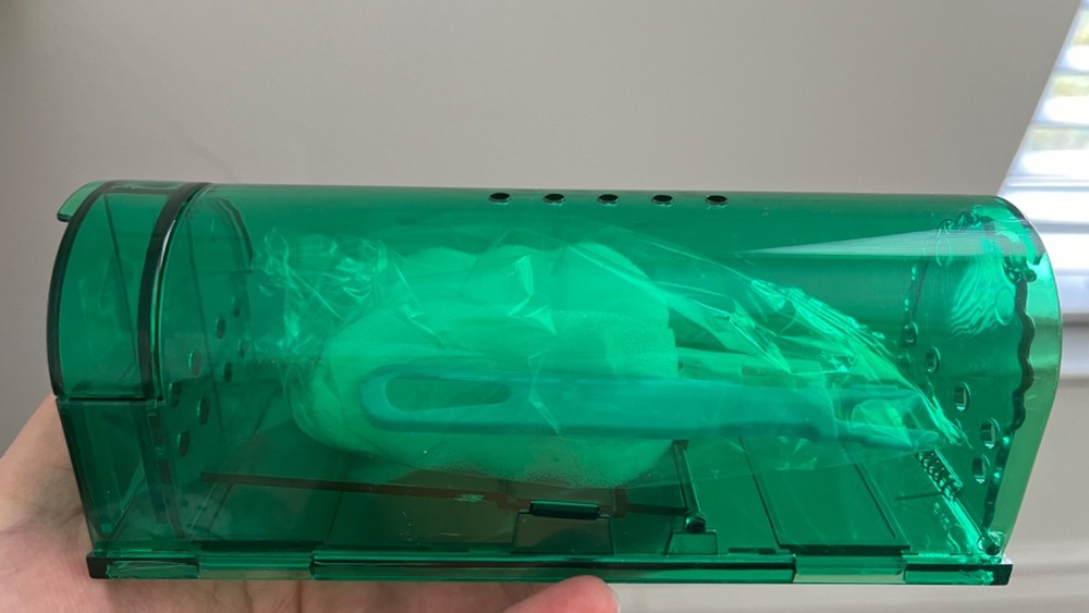 2PACK CAMPIOR Humane Mouse Traps Live Catch & Release No Kill Mice Trap Reusable