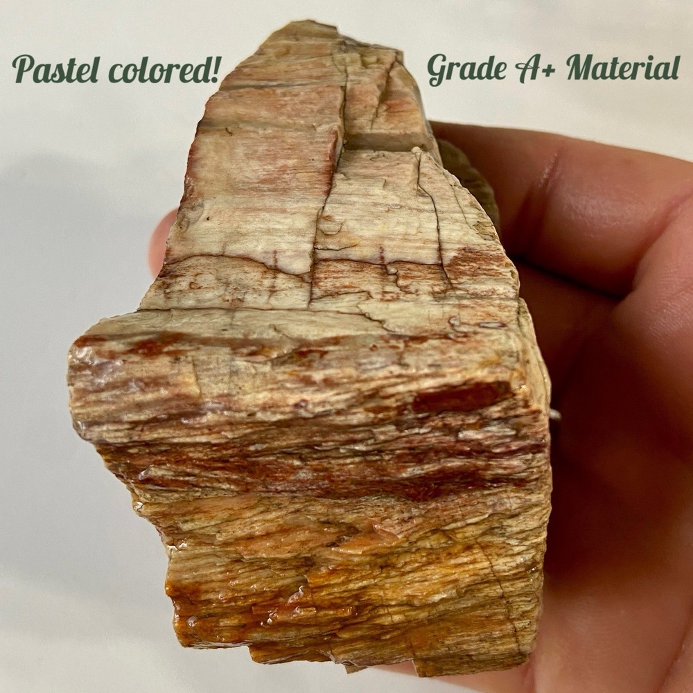 Petrified Wood Raw Chunk 11.44 Oz