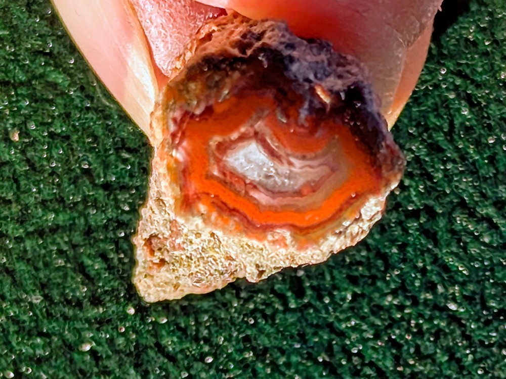 Petrified Wood Red Fortification* Miniature