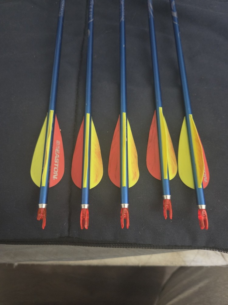 Used Genesis Compound Bow w/TruGlo Sight Starter Bundle