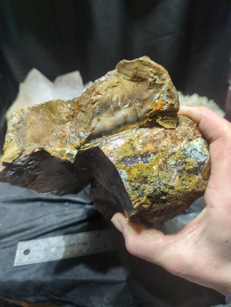 Biggs Jasper Specimen w/ Dendric Natural Form (7lbs 12oz)