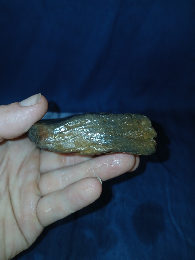 10 oz Texas Petrified Wood