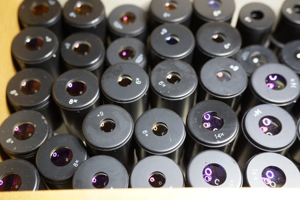 Eyepieces vor MBS microscope .