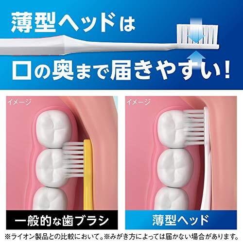 LION Systema Toothbrush Super Compact 4 Row Regular Set 6 + ex Toothpaste F/S
