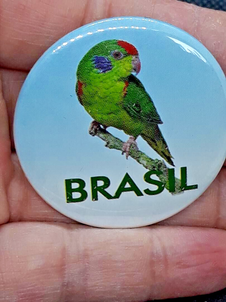 VINTAGE BRAZIL PARROT BUTTON PIN