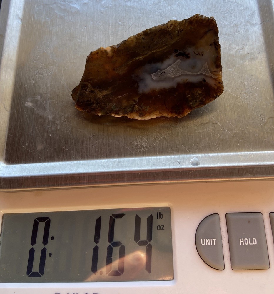 Wonderful Stringy Mossy Agate End Cut 1.64 Oz
