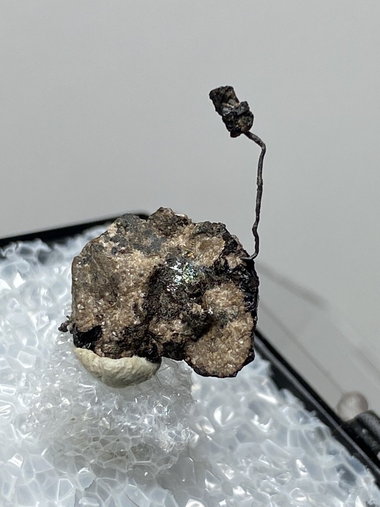 Silver Wire On Matrix - Uchucchacua Mine, Peru - Thumbnail