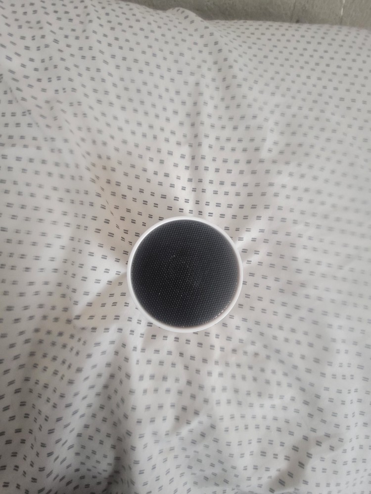 Google Bluetooth Speaker